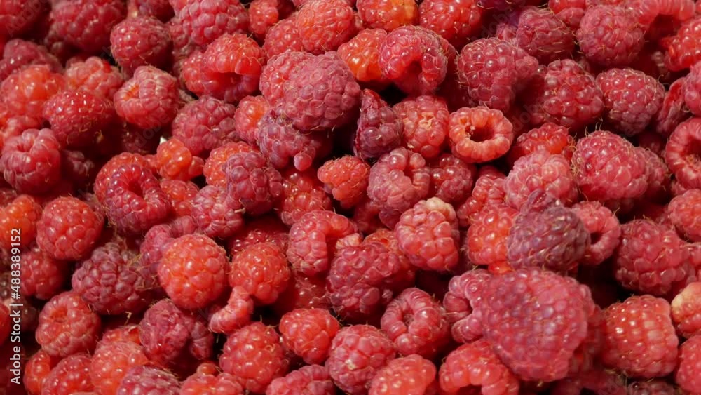 heap of fresh tasty raspberry as textured background, top view heap of fresh tasty raspberry as textured background, top view