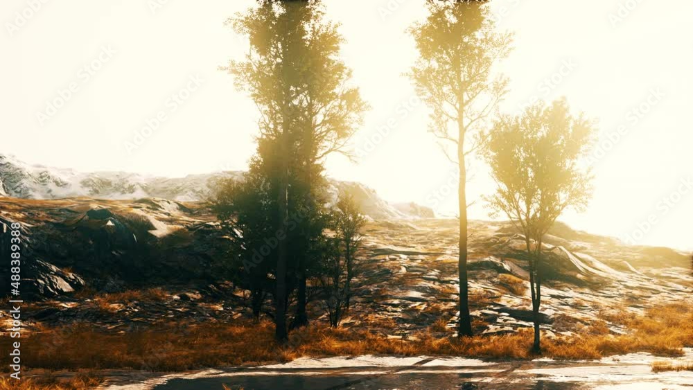 Scenic landscape with steep cliffs and trees during a sunny day Scenic landscape with steep cliffs and trees during a sunny day