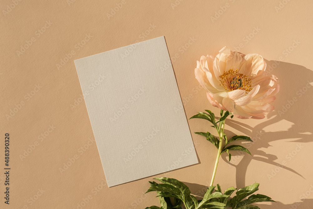 Aesthetic bohemian wedding invitation card template with copy space. Paper card, peony flower casting sunlight shadows on peach background