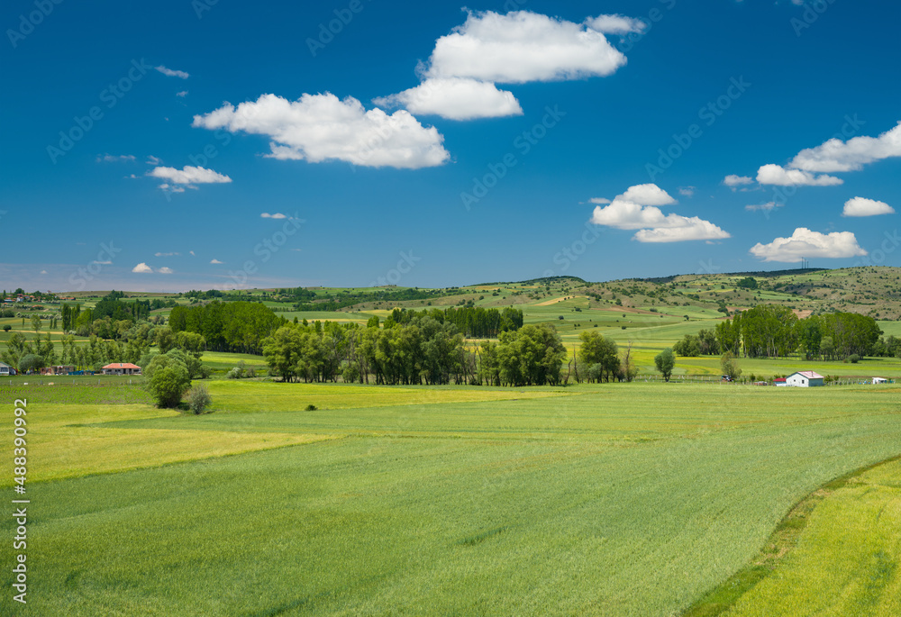 Crop fields and agricultural village in spring