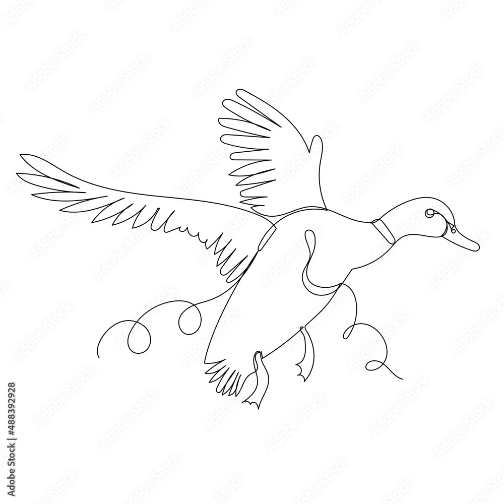 Obraz premium duck flying one line drawing, outline