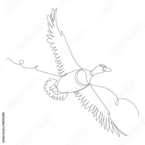 duck flying one line drawing, outline, vector
