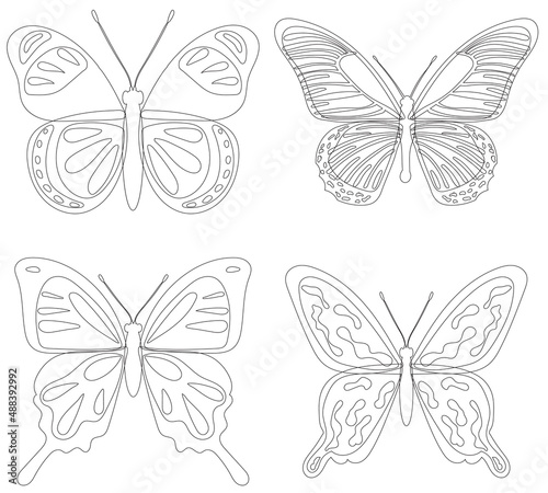 butterflies outline, sketch on white background