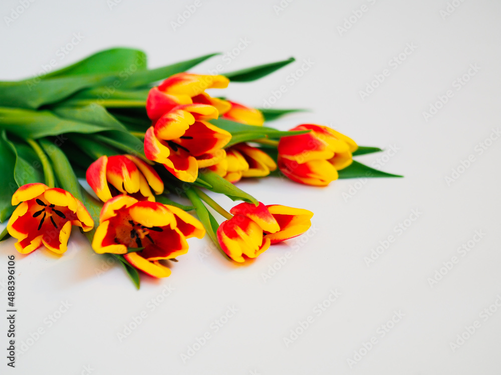 Vase with beautiful flowers on a white background Vase with beautiful flowers on a white background