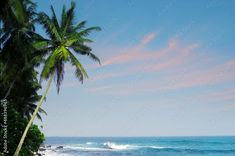 Palm trees on the background of the Indian Ocean at sunset.