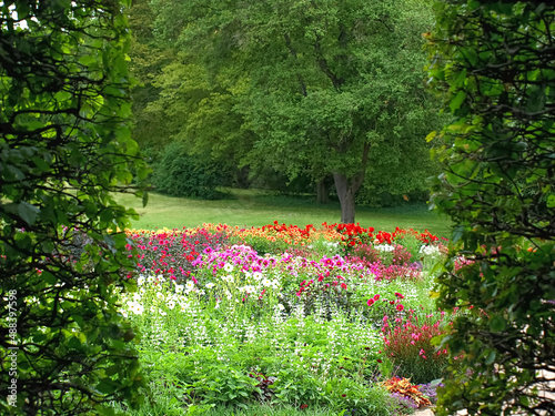 Beautiful Hoehenpark Killesberg in Stuttgart photo