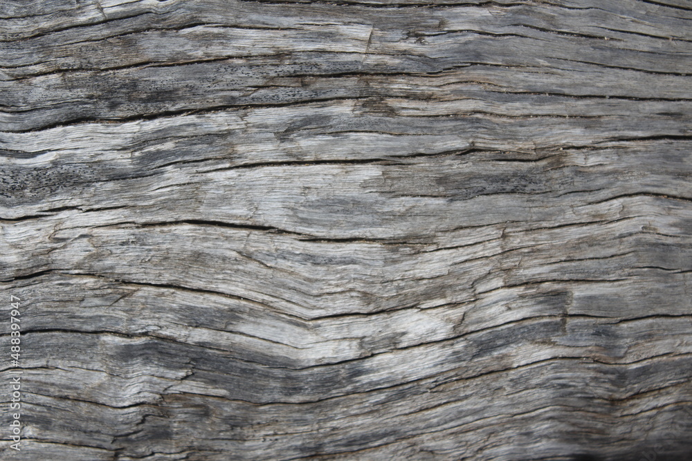 old wood background