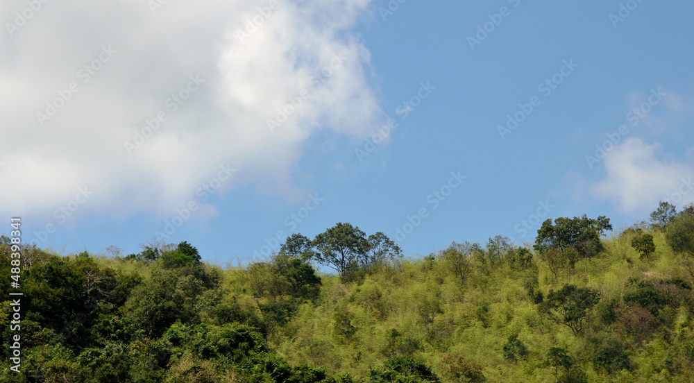 Forest on mountain with clouds in blue sky background Forest on mountain with clouds in blue sky background