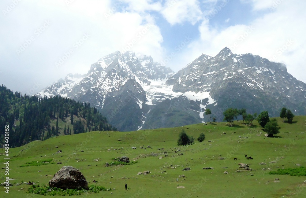 Sonmarg the winter Paradise