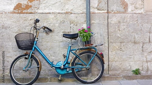 Blue vintage bicycle against an exterior wall with a flowerpot in its rear basket