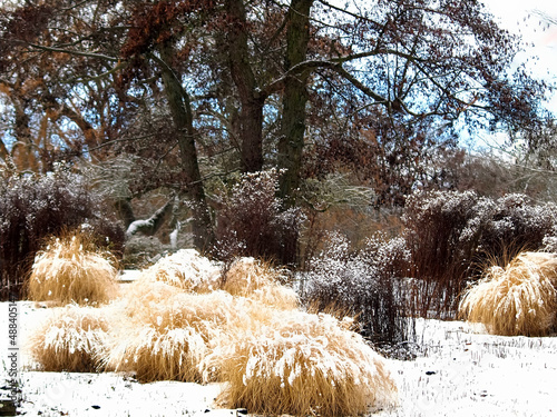 Beautiful Hoehenpark Killesberg in Stuttgart photo