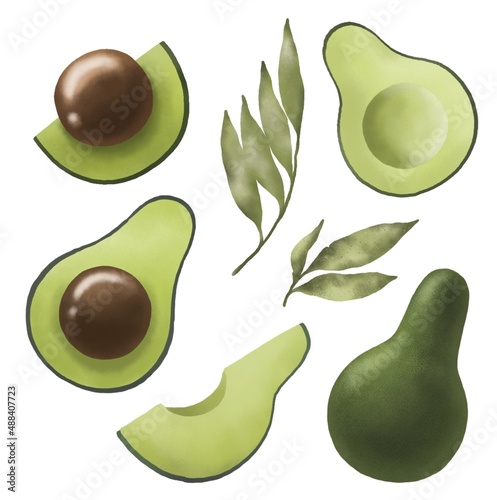 Watercolor set of avocado and leaves, isolates on a white background.
