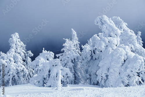 Harz Brocken im Schnee