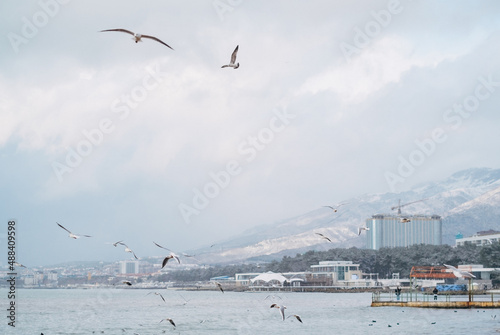 City beach during the winter season, in the distance Markotkh Range. Seagulls are flying in the foreground.