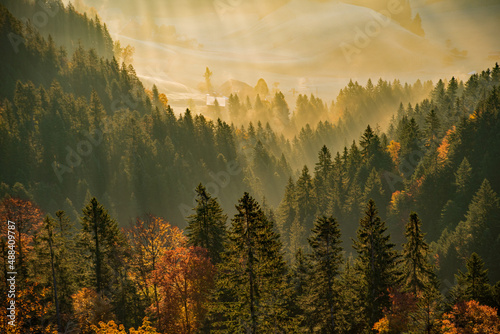 Morgenstimmung mit herbstlichem Wald im Emmental photo