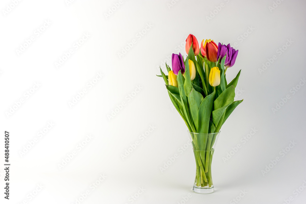 Bouquet of yellow, red and violet tulips in a glass jar on a white background Bouquet of yellow, red and violet tulips in a glass jar on a white background