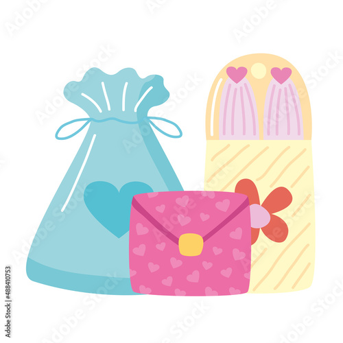 diary protector with bag