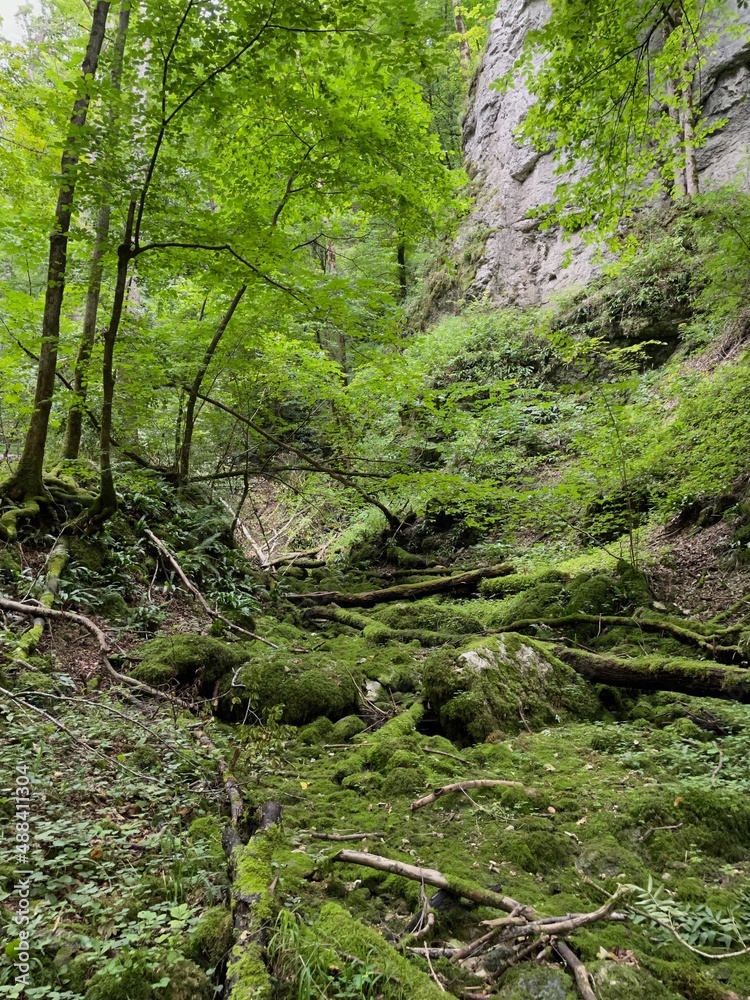 Die Roggensteige in Geislingen an der Steige führt vom Eybtal auf die Albhochfläche bei Böhmenkirch. Die Roggensteige in Geislingen an der Steige führt vom Eybtal auf die Albhochfläche bei Böhmenkirch.