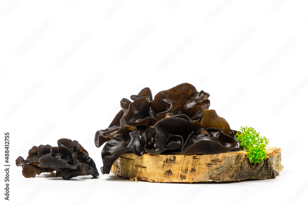 Muer mushrooms on wooden cross section isolated on white background