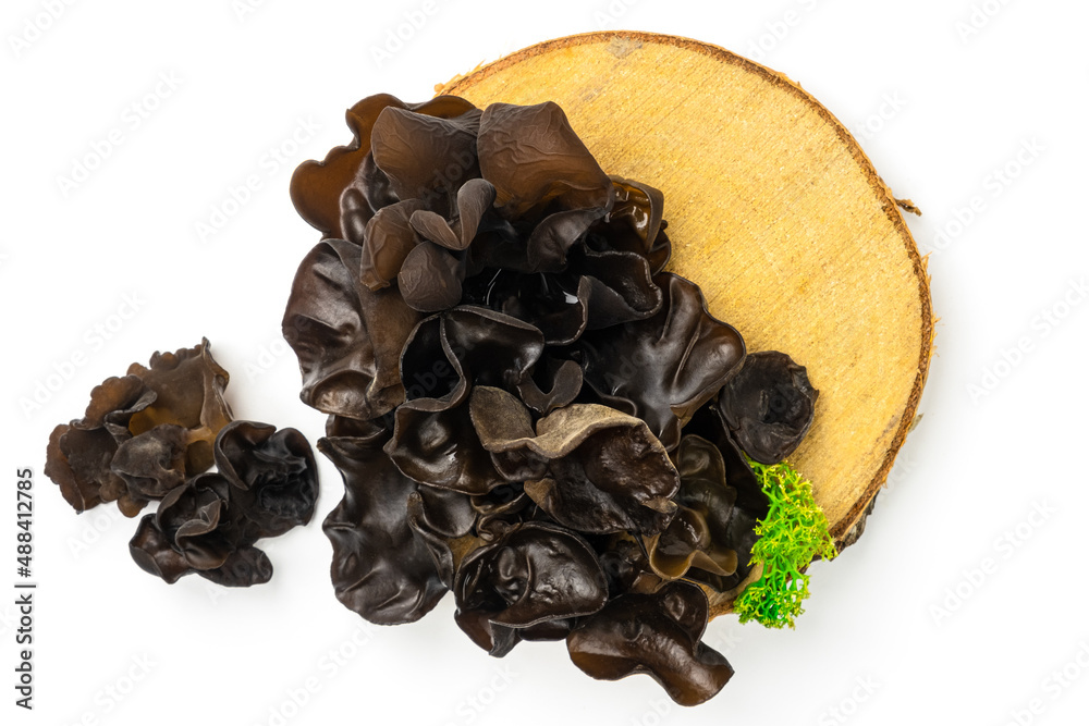 Muer mushrooms on wooden cross section isolated on white background