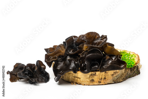 Muer mushrooms on wooden cross section isolated on white background. Jew`s ear mushrooms studio shot. Edible dark fungus - auricularia polytricha, also known as cloud ear, black mushroom, jelly fungus photo