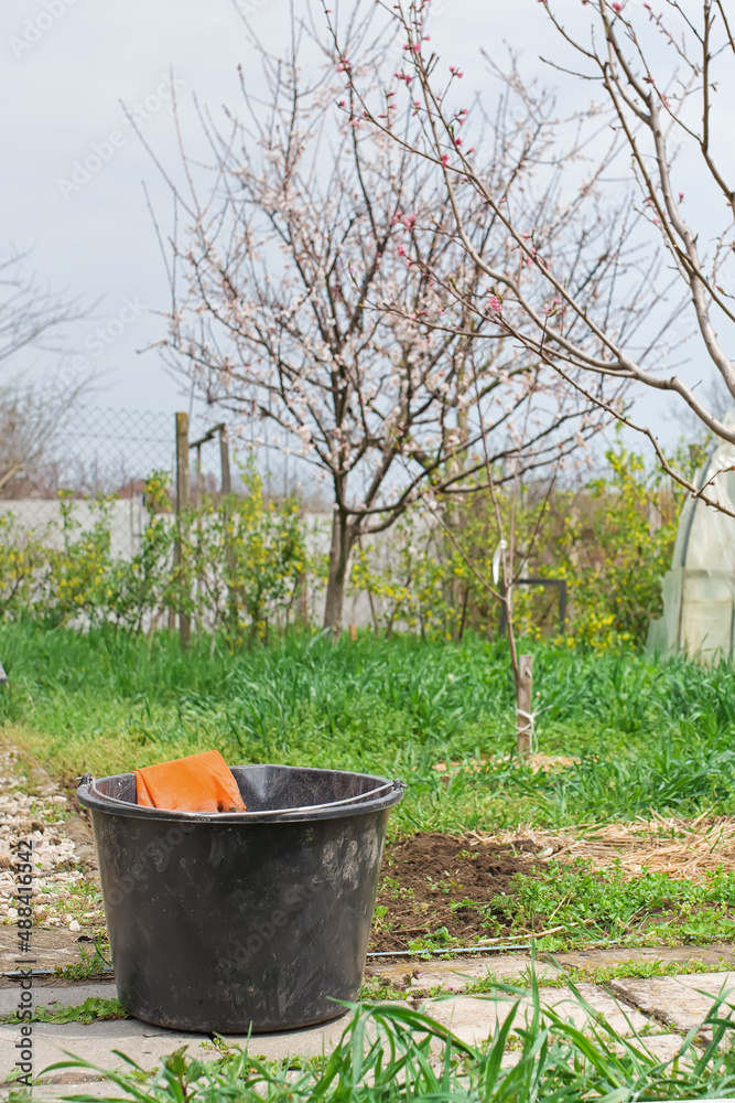gloves in a bucket on spring green garden background gloves in a bucket on spring green garden background