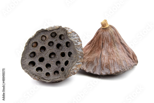 Dried lotus flower seed pods isolated on white photo