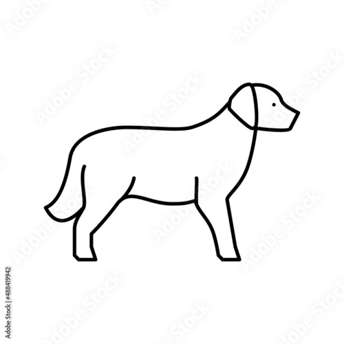 golden retriever dog line icon vector illustration