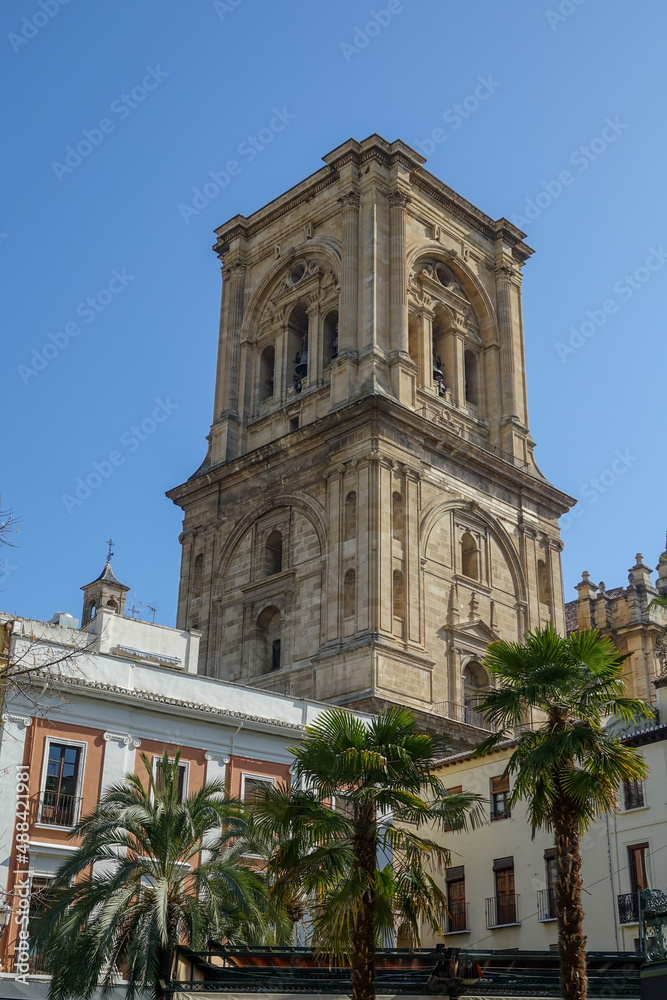 View of the bell tower of the cathedral of Granada (Spain) over old houses with balconies and palm trees