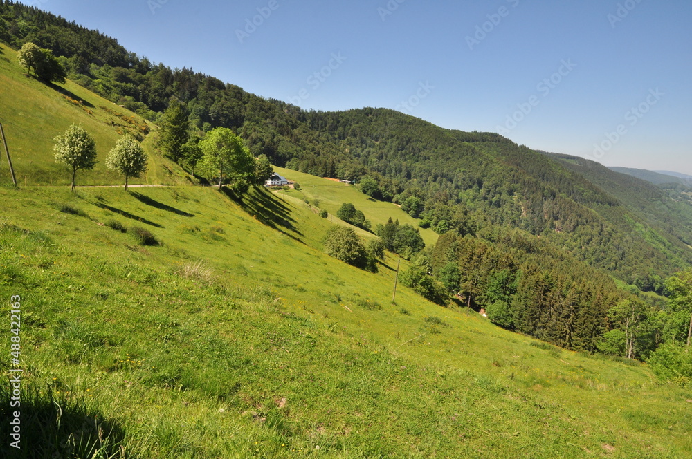 Joli paysage sur la route des crêtes dans les Vosges-France