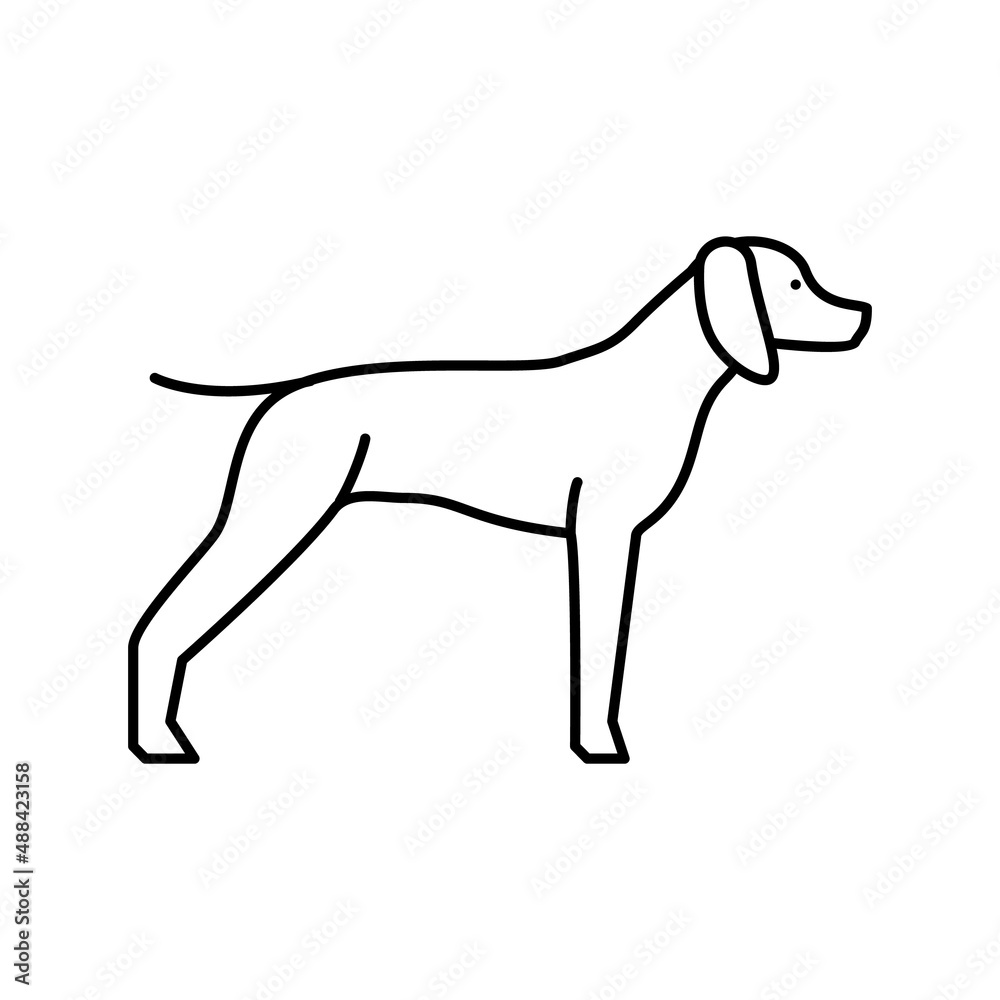 german shrothaired pointer dog line icon vector illustration