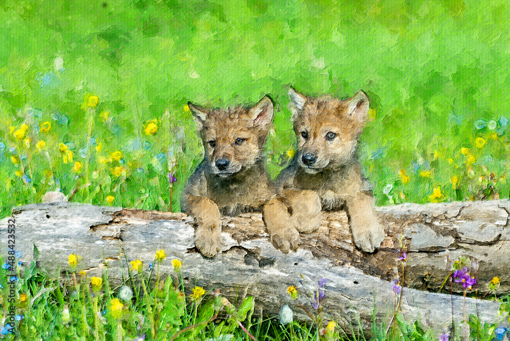 Obraz premium Wolf cubs,digital oil painting