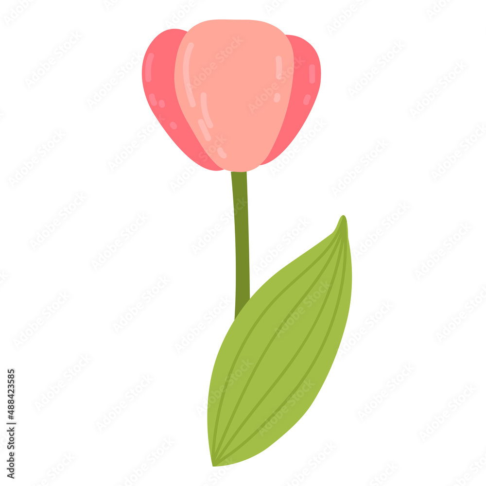 Cartoon cute tulip with green stalk vector illustration. spring flowers Cartoon cute tulip with green stalk vector illustration. spring flowers