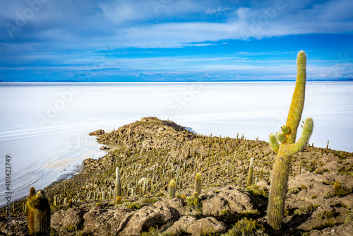 Salar De Uyuni - Cactus Island: Isla Incahuasi photo