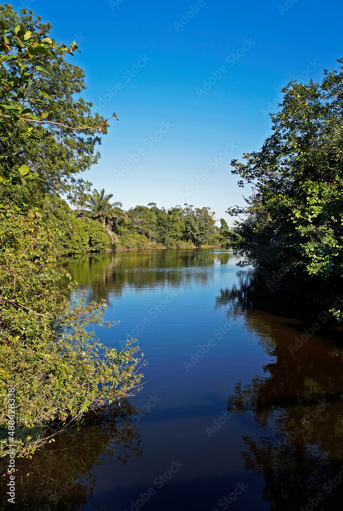 Lake and tropical rainforest, Barra da Tijuca, Rio