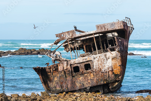 shipwreck on the rocks in Cape Agulhas, South Africa with birds in the coastal scene