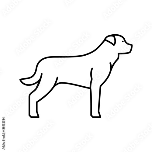 rottweiler dog line icon vector illustration