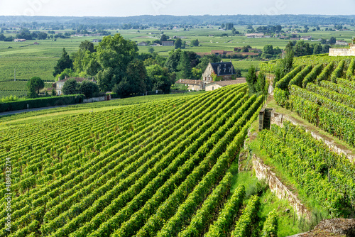 Fotobehang Vineyards of Saint Emilion village