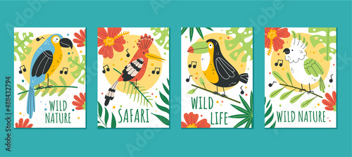 Jungle african birds cards template illustration graphic design set collection