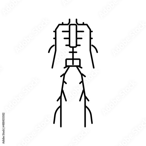 lymphatic system line icon vector illustration