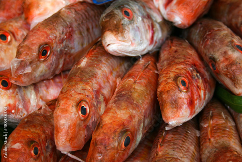 A close up image of a striped red mullet fish, available for sale in a market.