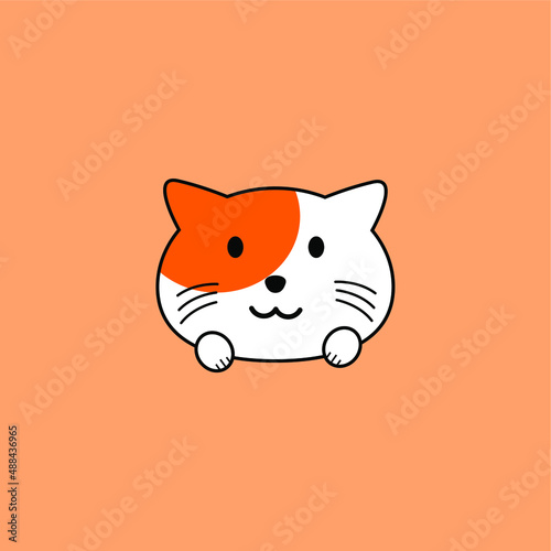 animal cartoon illustration. cat illustration with adorable expression