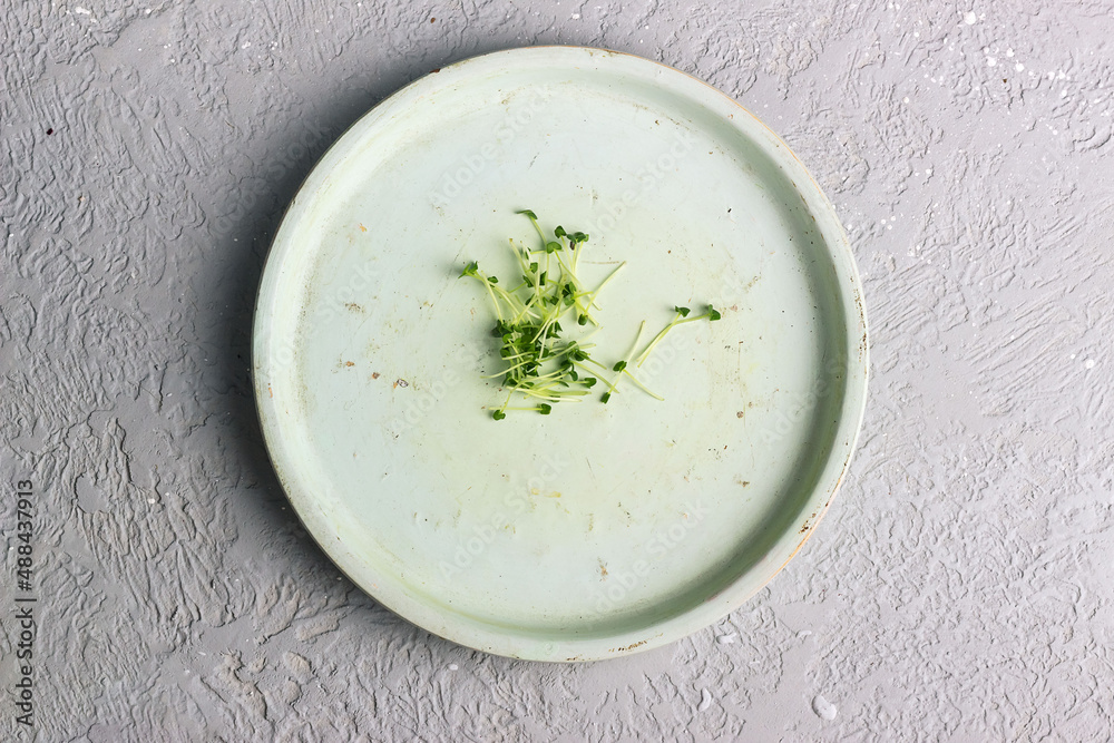 Chia microgreens close up. Sprouts on a plate, diet idea. selective focus Chia microgreens close up. Sprouts on a plate, diet idea. selective focus