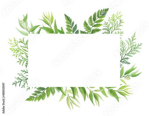 Green leaves rectangular frame template. Floral border with place for text. Forest herbs design. Vector illustration.