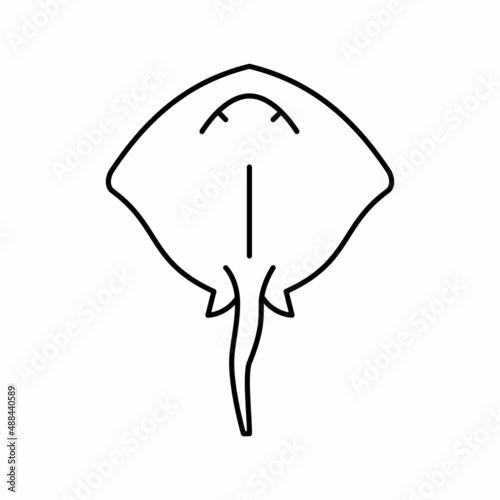 stingray ocean line icon vector illustration