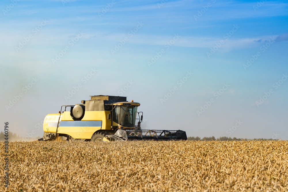 Obraz premium Combine harvester harvests ripe wheat. Ripe ears of gold field on the sunset cloudy orange sky background. . Concept of a rich harvest. Agriculture image