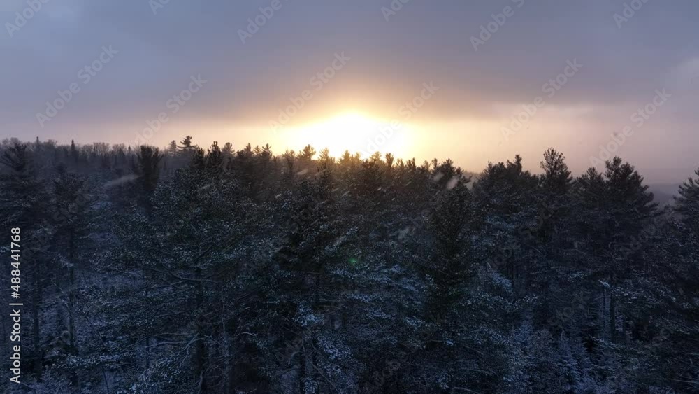 Breathtaking aerial view sunset beyond dense snowcovered forestry Breathtaking aerial view sunset beyond dense snowcovered forestry