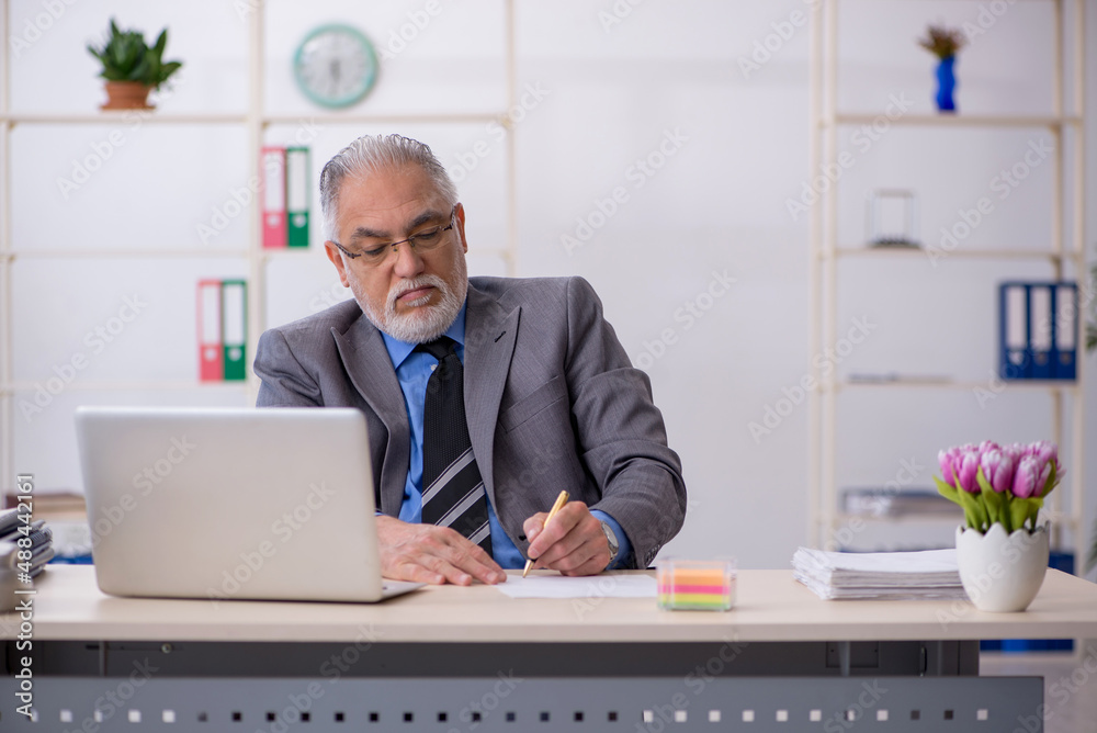 Old male employee working in the office