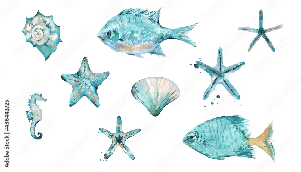 Watercolor Fishes Sea shells Starfishes Scallop and seahorse. Watercolour illustration isolated on white background.
