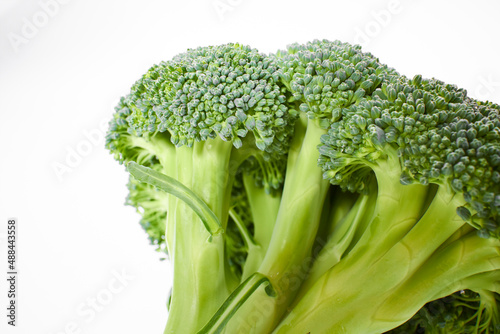 fresh broccoli on the white